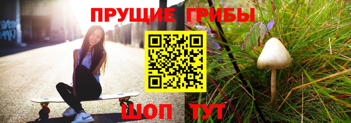 Железногорск  купить  цена  Вход с VPN  Галлюциногенные грибы мицелий 