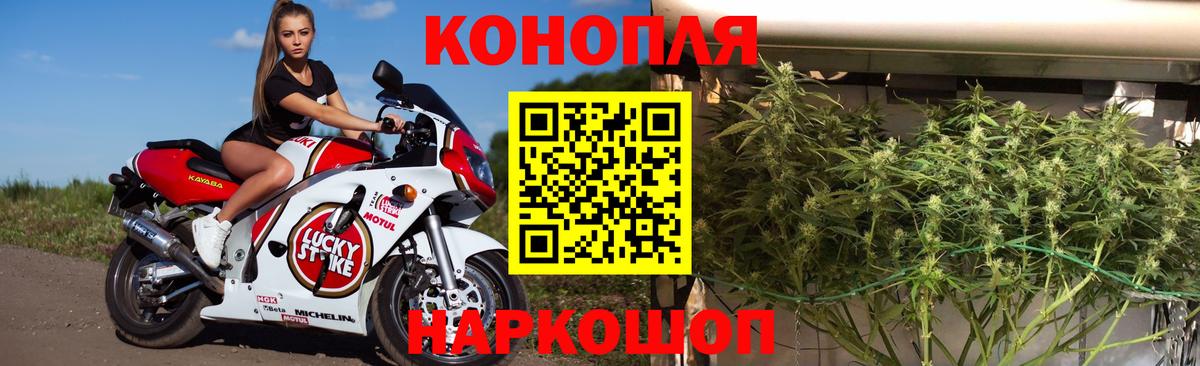 Железногорск  Бошки марихуана ГИДРОПОН  Вход с VPN  Бошки Шишки Ganja 